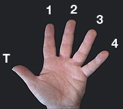 Numbering of the fingers of the left hand (the fretting hand)
