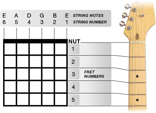 Figure 1. Chord box